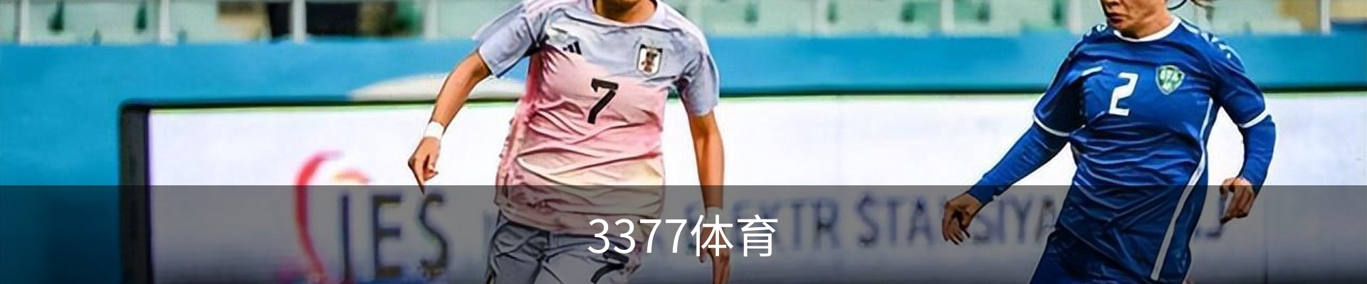 3377体育